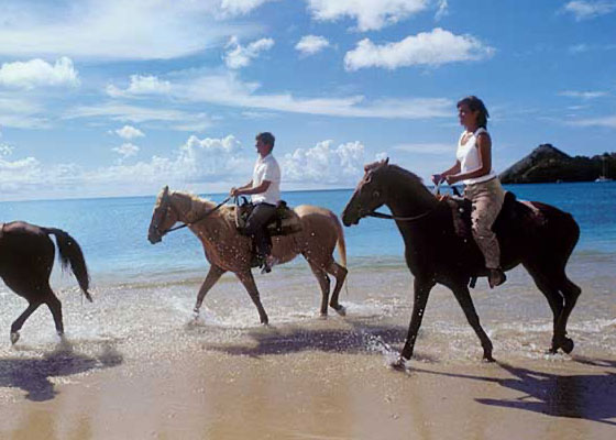 Phuket Horse Ridding