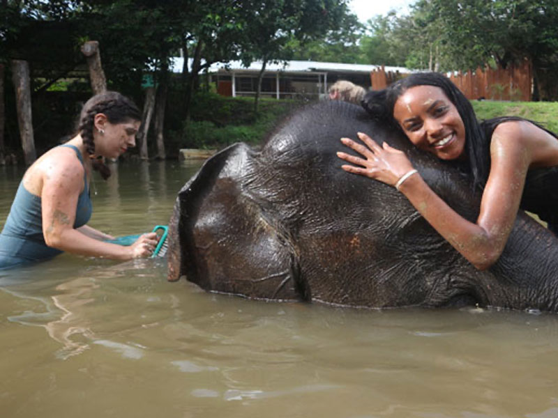 Elephant Wildlife Sanctuary