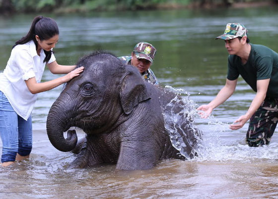 ATV Bike &  Elephant Bathing Tours