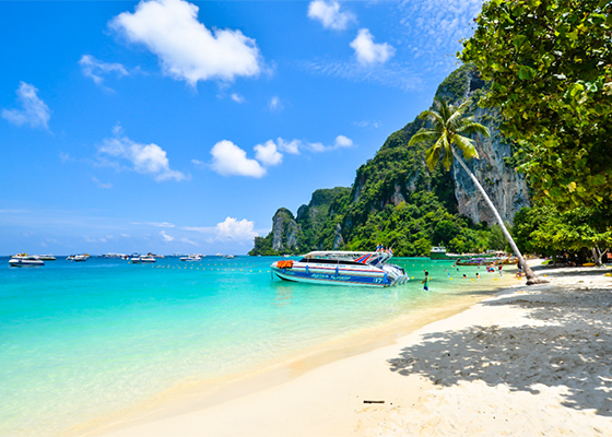 phuket all tours review