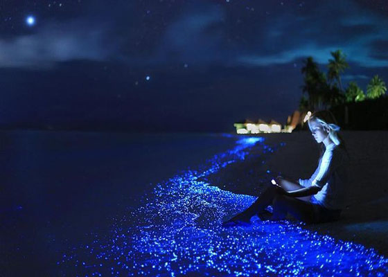 Krabi 7 Islands  with Plankton Tour