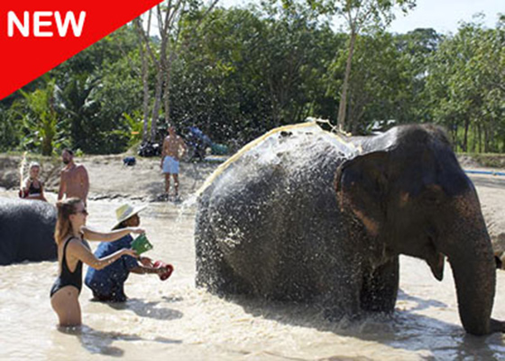 Elephant  Sanctuary Park