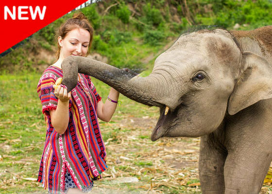 Elephant Jungle Sanctuary Park