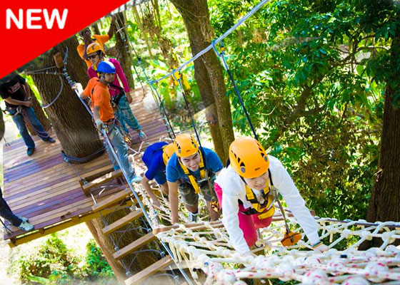 Skyline Zip-Lines & ATV Tour