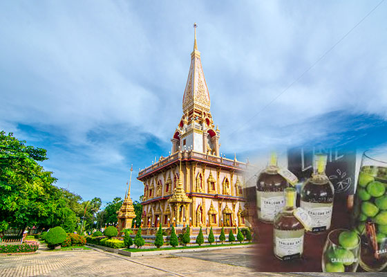 Real City Tour with Rum Cocktail
