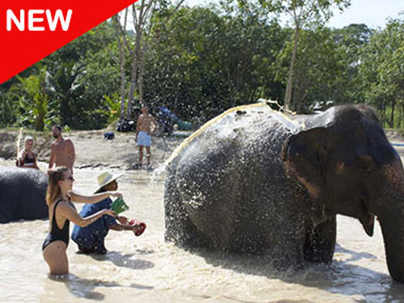 Elephant  Sanctuary Park