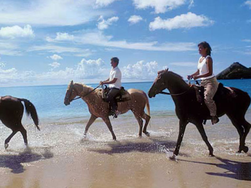 Phuket Horse Ridding