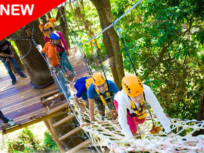 Skyline Zip-Lines & ATV Tour