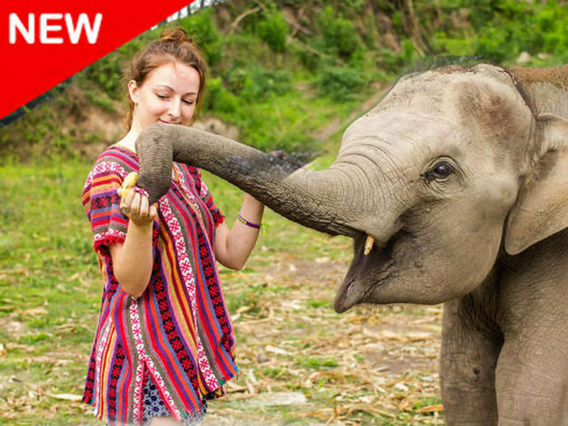 Elephant Jungle Sanctuary Park