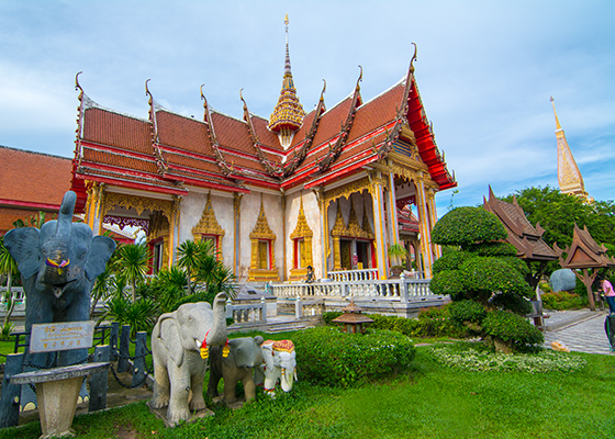 Sightseeing Tour + Tiger Kingdom