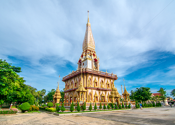 Real City Tour with Rum Cocktail