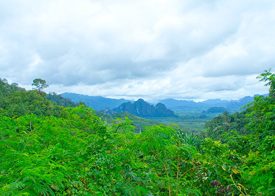 Private Khao Lak Jungle Safari Tour