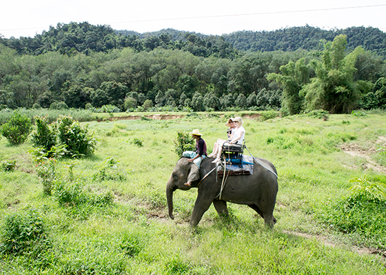 Private Khao Lak Jungle Safari Tour