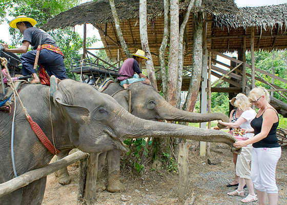 Khao Lak Jungle Safari Tour