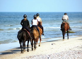 Phuket Horse Ridding