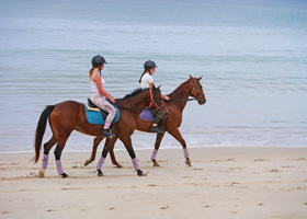 Phuket Horse Ridding