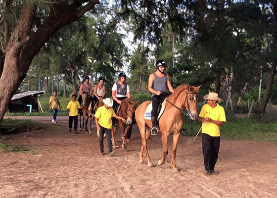 Phuket Horse Ridding