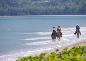 Phuket Horse Ridding