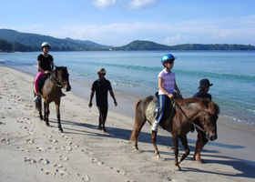 Phuket Horse Ridding