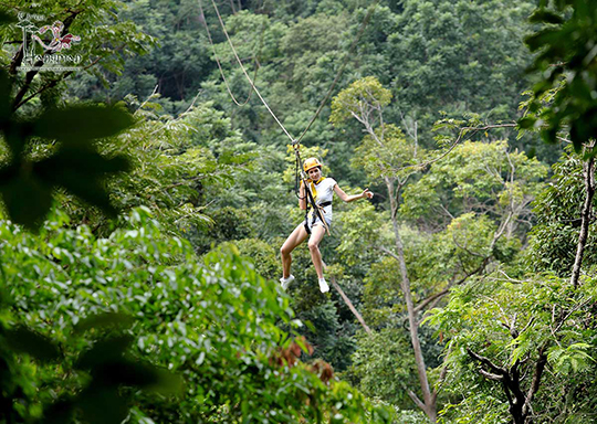 Ziplines Adventure with Tiger Kingdom