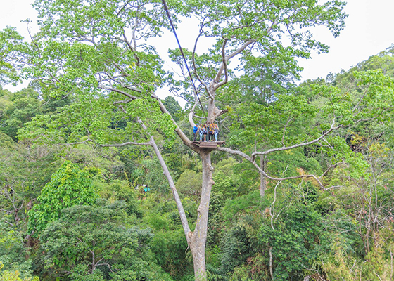 ATV Bike + Zipline Adventure