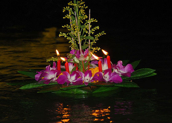 John Gray Sea Canoe Hong Starlight Tour