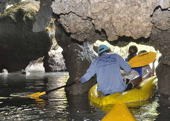 John Gray Sea Canoe Hong Starlight Tour