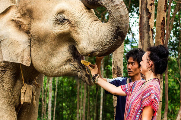 Elephant Jungle Sanctuary Park