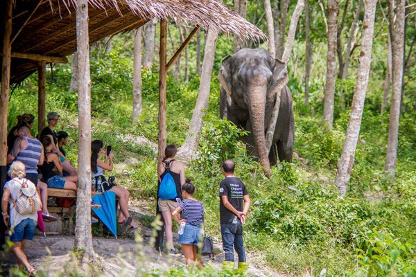 Elephant Jungle Sanctuary Park