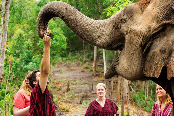 Elephant Jungle Sanctuary Park