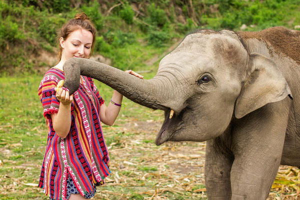 Elephant Jungle Sanctuary Park