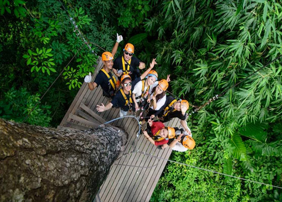 Skyline Zip-Lines & ATV Tour