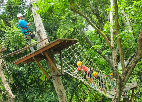 Skyline Zip-Lines & ATV Tour