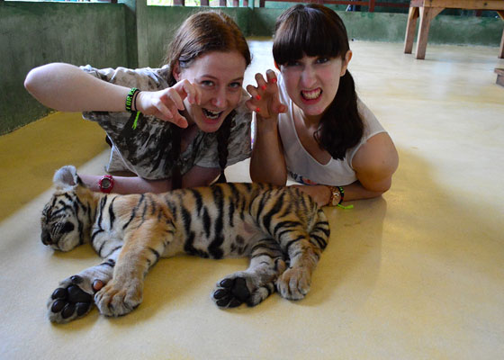 Tiger Kingdom Tours Phuket