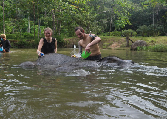 Elephant Wildlife Sanctuary