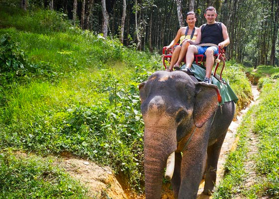 Private Khao Lak Jungle Safari Tour