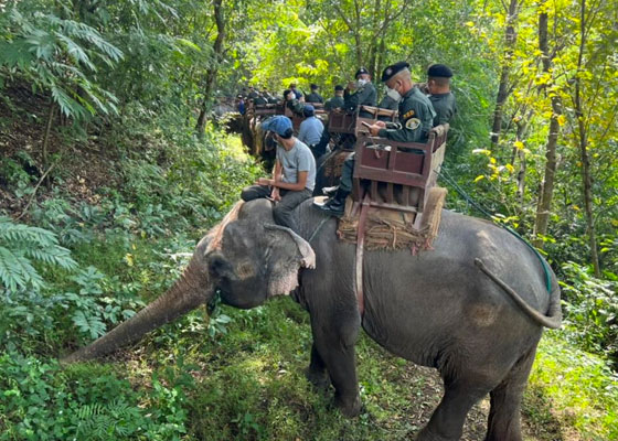 Private Khao Lak Jungle Safari Tour