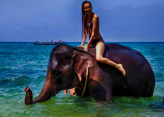 Phuket Elephant Tours