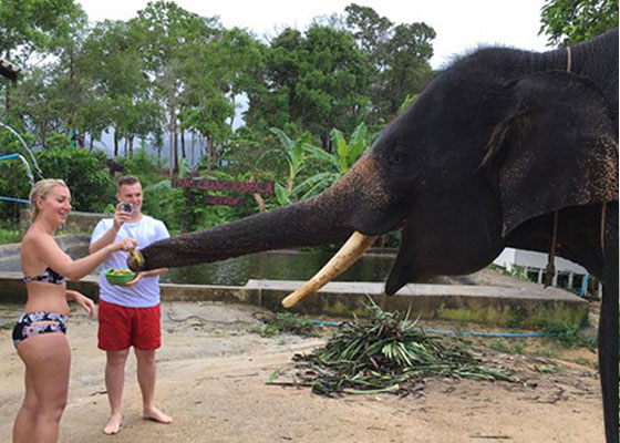 Phuket Elephant Tours