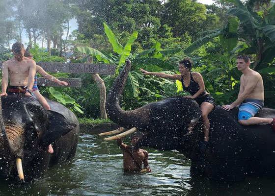 Phuket Elephant Tours