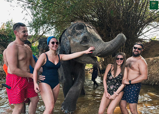 Phuket Elephant Care Sanctuary Tour