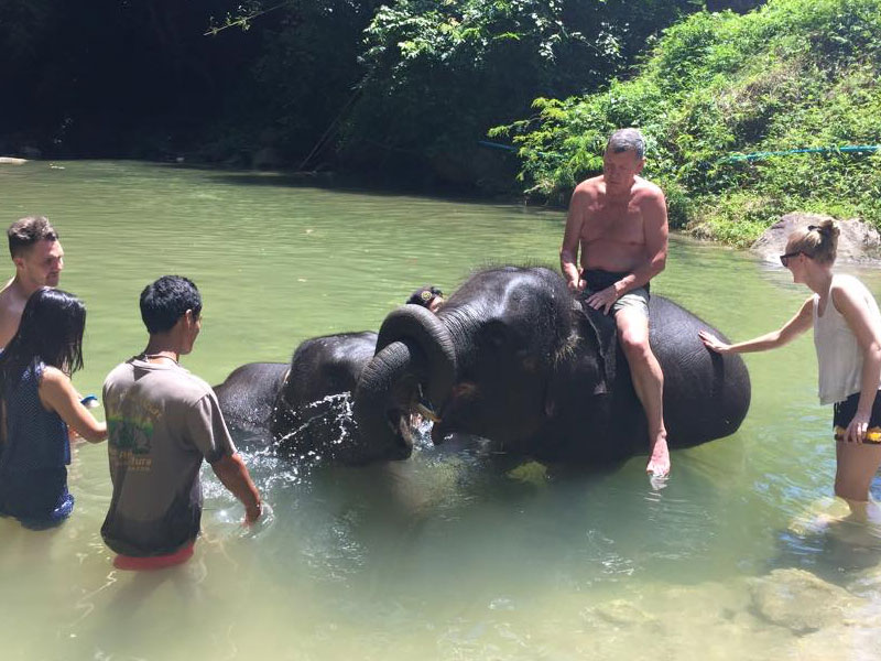 Phuket   Elephant Bathing Tours