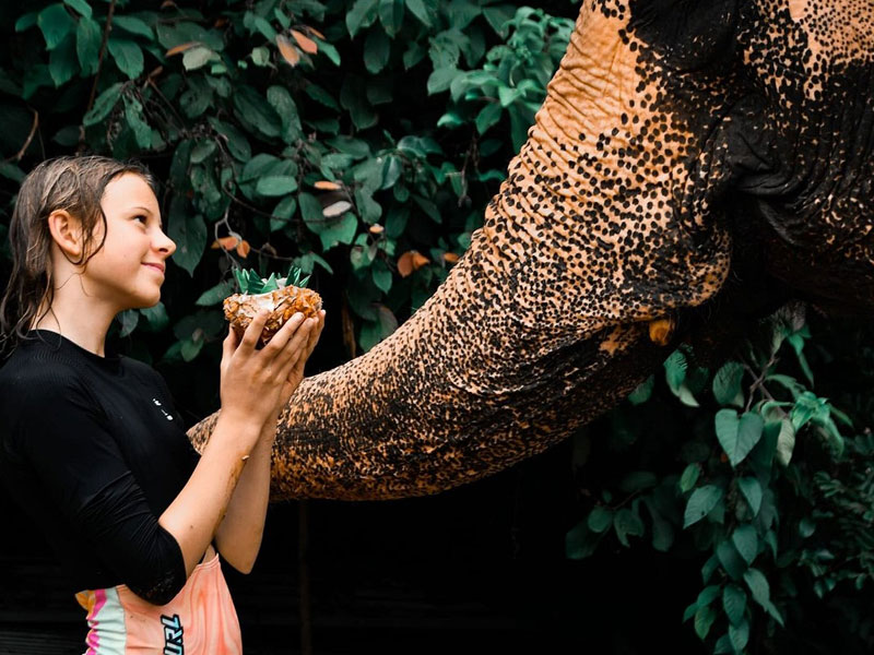 Phuket   Elephant Bathing Tours