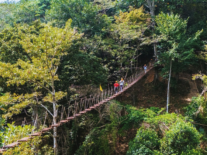 Flying Hanuman Ziplines