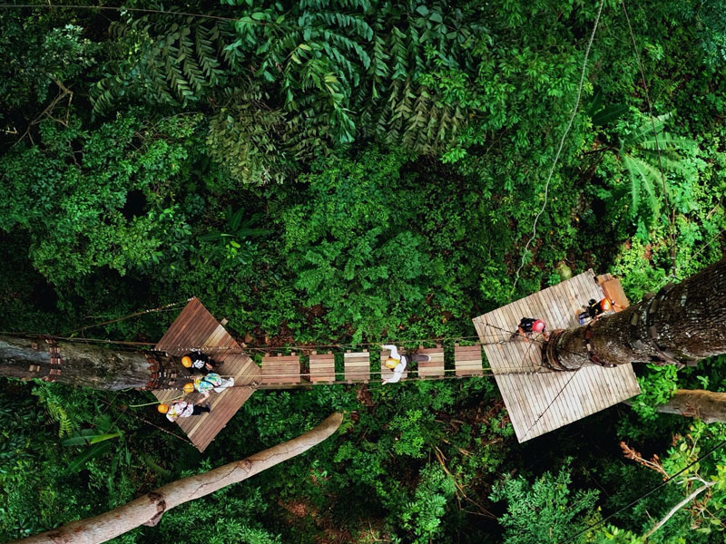 Flying Hanuman Ziplines