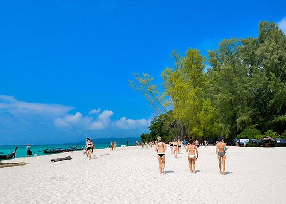 Private Phi Phi Islands Tours)