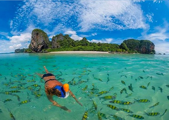Private Phi Phi Islands Tours)