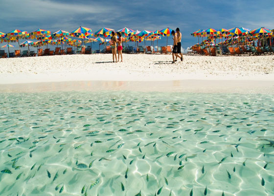 Private Catamaran Tour to Khai Islands