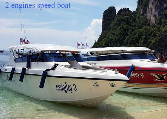 Private Boat Tour with Dolphin Spotting & Snorkeling